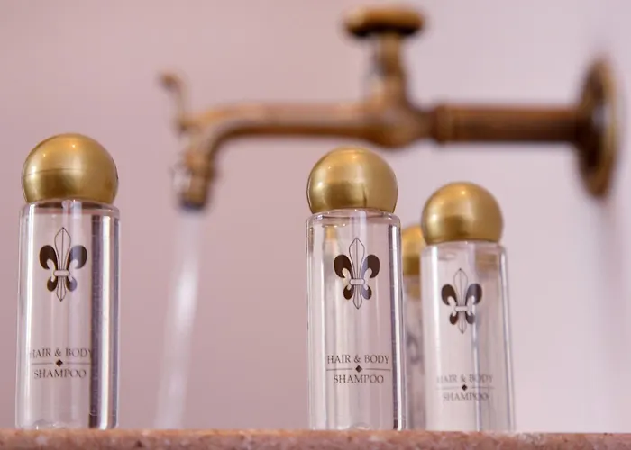 Apart-hotel Schloss Am Fischhorn Zell am See