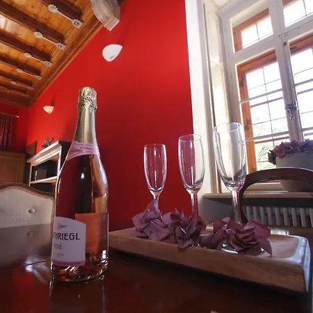 Apartmanhotel Schloss Am Fischhorn Zell am See